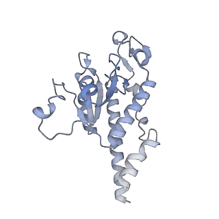 11391_6zsa_AB_v2-0
Human mitochondrial ribosome bound to mRNA, A-site tRNA and P-site tRNA