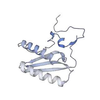 11391_6zsa_AC_v1-0
Human mitochondrial ribosome bound to mRNA, A-site tRNA and P-site tRNA