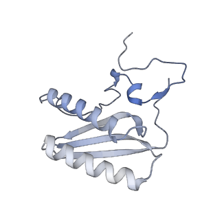 11391_6zsa_AC_v2-0
Human mitochondrial ribosome bound to mRNA, A-site tRNA and P-site tRNA