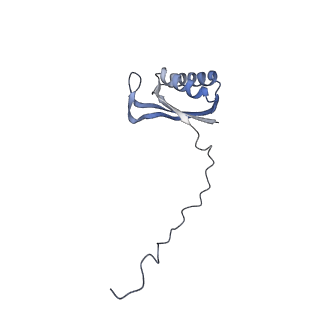 11391_6zsa_AE_v1-0
Human mitochondrial ribosome bound to mRNA, A-site tRNA and P-site tRNA