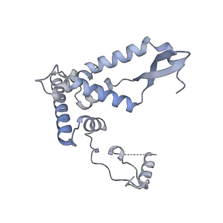 11391_6zsa_AF_v1-0
Human mitochondrial ribosome bound to mRNA, A-site tRNA and P-site tRNA
