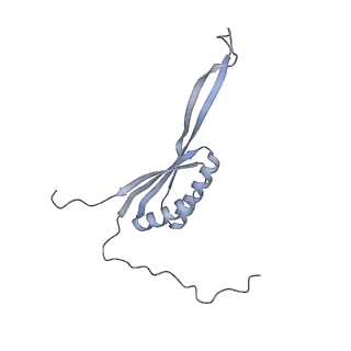 11391_6zsa_AH_v1-0
Human mitochondrial ribosome bound to mRNA, A-site tRNA and P-site tRNA