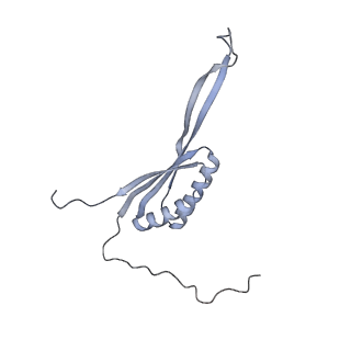 11391_6zsa_AH_v2-0
Human mitochondrial ribosome bound to mRNA, A-site tRNA and P-site tRNA