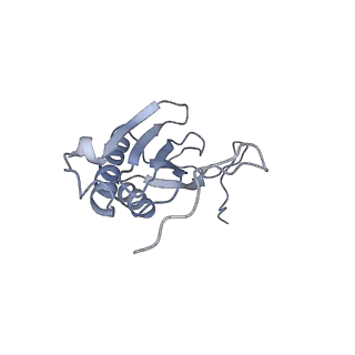 11391_6zsa_AI_v1-0
Human mitochondrial ribosome bound to mRNA, A-site tRNA and P-site tRNA
