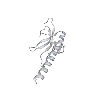 11391_6zsa_AM_v1-0
Human mitochondrial ribosome bound to mRNA, A-site tRNA and P-site tRNA