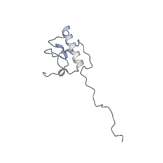 11391_6zsa_AP_v1-0
Human mitochondrial ribosome bound to mRNA, A-site tRNA and P-site tRNA