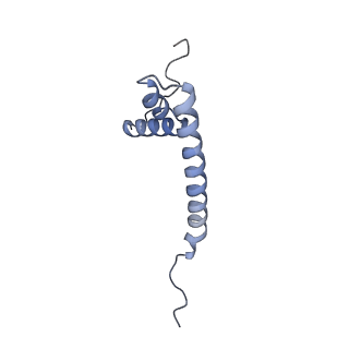 11391_6zsa_AQ_v1-0
Human mitochondrial ribosome bound to mRNA, A-site tRNA and P-site tRNA