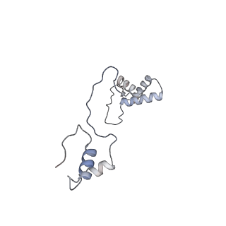 11391_6zsa_AS_v1-0
Human mitochondrial ribosome bound to mRNA, A-site tRNA and P-site tRNA