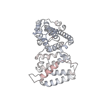 11391_6zsa_AV_v1-0
Human mitochondrial ribosome bound to mRNA, A-site tRNA and P-site tRNA