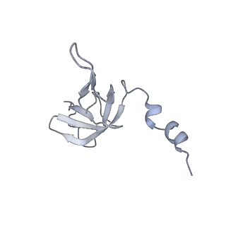 11391_6zsa_AW_v1-0
Human mitochondrial ribosome bound to mRNA, A-site tRNA and P-site tRNA