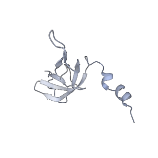 11391_6zsa_AW_v2-0
Human mitochondrial ribosome bound to mRNA, A-site tRNA and P-site tRNA
