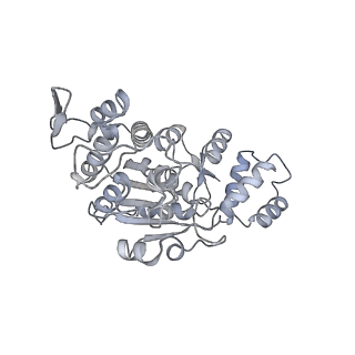 11391_6zsa_AX_v1-0
Human mitochondrial ribosome bound to mRNA, A-site tRNA and P-site tRNA
