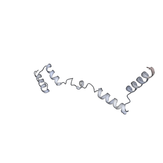 11391_6zsa_AZ_v1-0
Human mitochondrial ribosome bound to mRNA, A-site tRNA and P-site tRNA