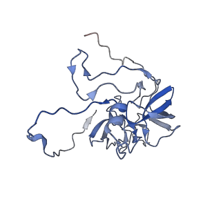 11391_6zsa_XD_v1-0
Human mitochondrial ribosome bound to mRNA, A-site tRNA and P-site tRNA