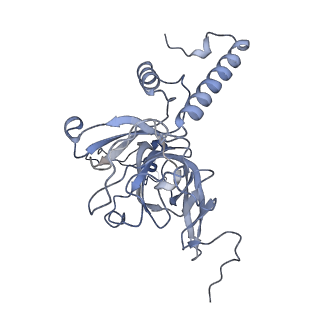 11391_6zsa_XE_v1-0
Human mitochondrial ribosome bound to mRNA, A-site tRNA and P-site tRNA