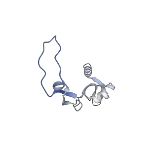 11391_6zsa_XH_v1-0
Human mitochondrial ribosome bound to mRNA, A-site tRNA and P-site tRNA