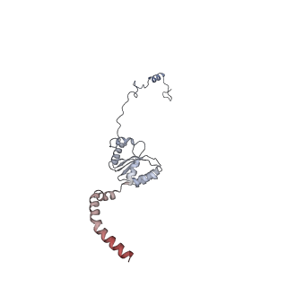 11391_6zsa_XI_v1-0
Human mitochondrial ribosome bound to mRNA, A-site tRNA and P-site tRNA