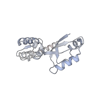 11391_6zsa_XJ_v1-0
Human mitochondrial ribosome bound to mRNA, A-site tRNA and P-site tRNA