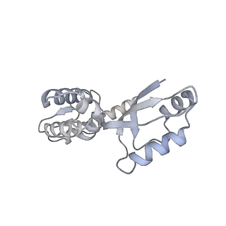 11391_6zsa_XJ_v2-0
Human mitochondrial ribosome bound to mRNA, A-site tRNA and P-site tRNA
