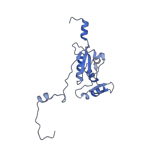 11391_6zsa_XK_v1-0
Human mitochondrial ribosome bound to mRNA, A-site tRNA and P-site tRNA
