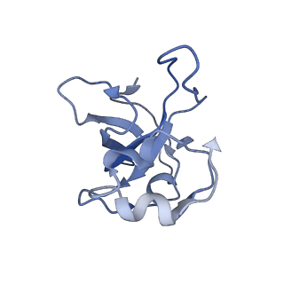 11391_6zsa_XL_v1-0
Human mitochondrial ribosome bound to mRNA, A-site tRNA and P-site tRNA