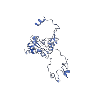 11391_6zsa_XM_v1-0
Human mitochondrial ribosome bound to mRNA, A-site tRNA and P-site tRNA
