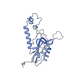 11391_6zsa_XN_v1-0
Human mitochondrial ribosome bound to mRNA, A-site tRNA and P-site tRNA