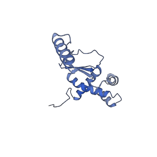 11391_6zsa_XO_v1-0
Human mitochondrial ribosome bound to mRNA, A-site tRNA and P-site tRNA