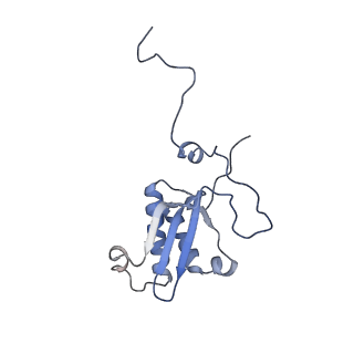 11391_6zsa_XP_v1-0
Human mitochondrial ribosome bound to mRNA, A-site tRNA and P-site tRNA