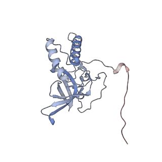 11391_6zsa_XQ_v1-0
Human mitochondrial ribosome bound to mRNA, A-site tRNA and P-site tRNA