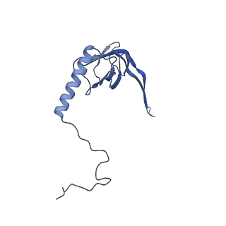 11391_6zsa_XS_v1-0
Human mitochondrial ribosome bound to mRNA, A-site tRNA and P-site tRNA