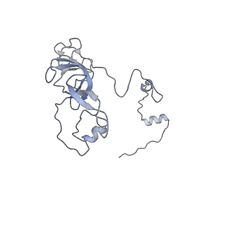 11391_6zsa_XV_v1-0
Human mitochondrial ribosome bound to mRNA, A-site tRNA and P-site tRNA