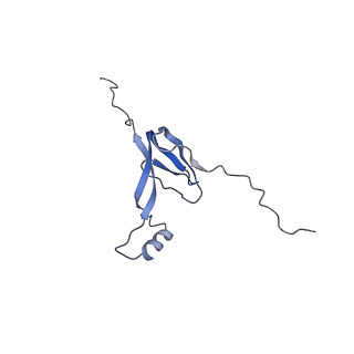 11391_6zsa_XW_v1-0
Human mitochondrial ribosome bound to mRNA, A-site tRNA and P-site tRNA