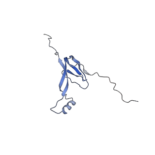 11391_6zsa_XW_v2-0
Human mitochondrial ribosome bound to mRNA, A-site tRNA and P-site tRNA
