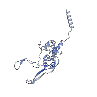 11391_6zsa_XX_v1-0
Human mitochondrial ribosome bound to mRNA, A-site tRNA and P-site tRNA
