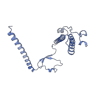 11391_6zsa_XY_v1-0
Human mitochondrial ribosome bound to mRNA, A-site tRNA and P-site tRNA