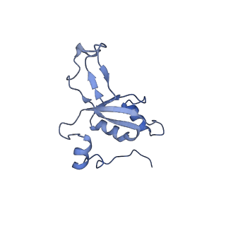 11391_6zsa_XZ_v1-0
Human mitochondrial ribosome bound to mRNA, A-site tRNA and P-site tRNA
