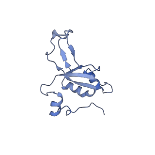 11391_6zsa_XZ_v2-0
Human mitochondrial ribosome bound to mRNA, A-site tRNA and P-site tRNA