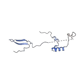 11391_6zsa_a_v1-0
Human mitochondrial ribosome bound to mRNA, A-site tRNA and P-site tRNA