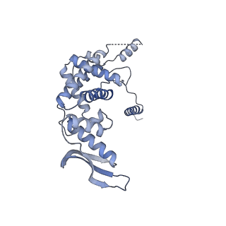 11391_6zsa_c_v1-0
Human mitochondrial ribosome bound to mRNA, A-site tRNA and P-site tRNA