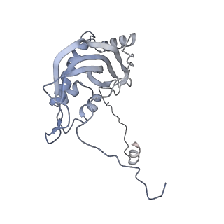 11391_6zsa_d_v1-0
Human mitochondrial ribosome bound to mRNA, A-site tRNA and P-site tRNA