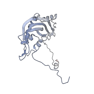 11391_6zsa_d_v2-0
Human mitochondrial ribosome bound to mRNA, A-site tRNA and P-site tRNA
