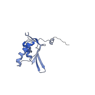 11391_6zsa_g_v1-0
Human mitochondrial ribosome bound to mRNA, A-site tRNA and P-site tRNA