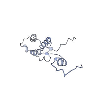 11391_6zsa_h_v1-0
Human mitochondrial ribosome bound to mRNA, A-site tRNA and P-site tRNA