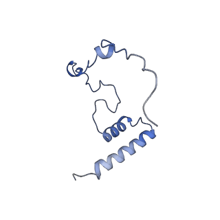 11391_6zsa_i_v1-0
Human mitochondrial ribosome bound to mRNA, A-site tRNA and P-site tRNA