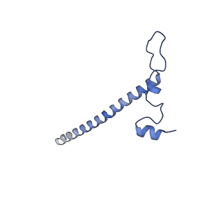 11391_6zsa_j_v1-0
Human mitochondrial ribosome bound to mRNA, A-site tRNA and P-site tRNA