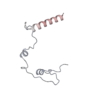 11391_6zsa_l_v1-0
Human mitochondrial ribosome bound to mRNA, A-site tRNA and P-site tRNA