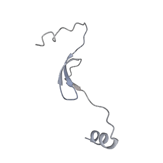 11391_6zsa_m_v1-0
Human mitochondrial ribosome bound to mRNA, A-site tRNA and P-site tRNA
