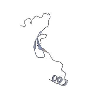 11391_6zsa_m_v2-0
Human mitochondrial ribosome bound to mRNA, A-site tRNA and P-site tRNA