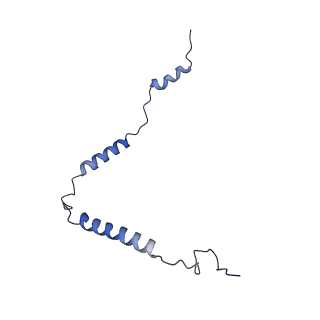 11391_6zsa_o_v1-0
Human mitochondrial ribosome bound to mRNA, A-site tRNA and P-site tRNA